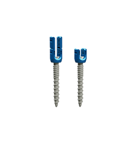 file1_1582523889c9zq7wrawg