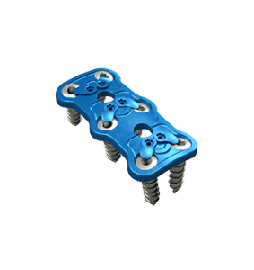 file1_15825246411w1iqu8twf