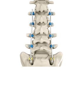 file1_1583287221qdg9v58qua